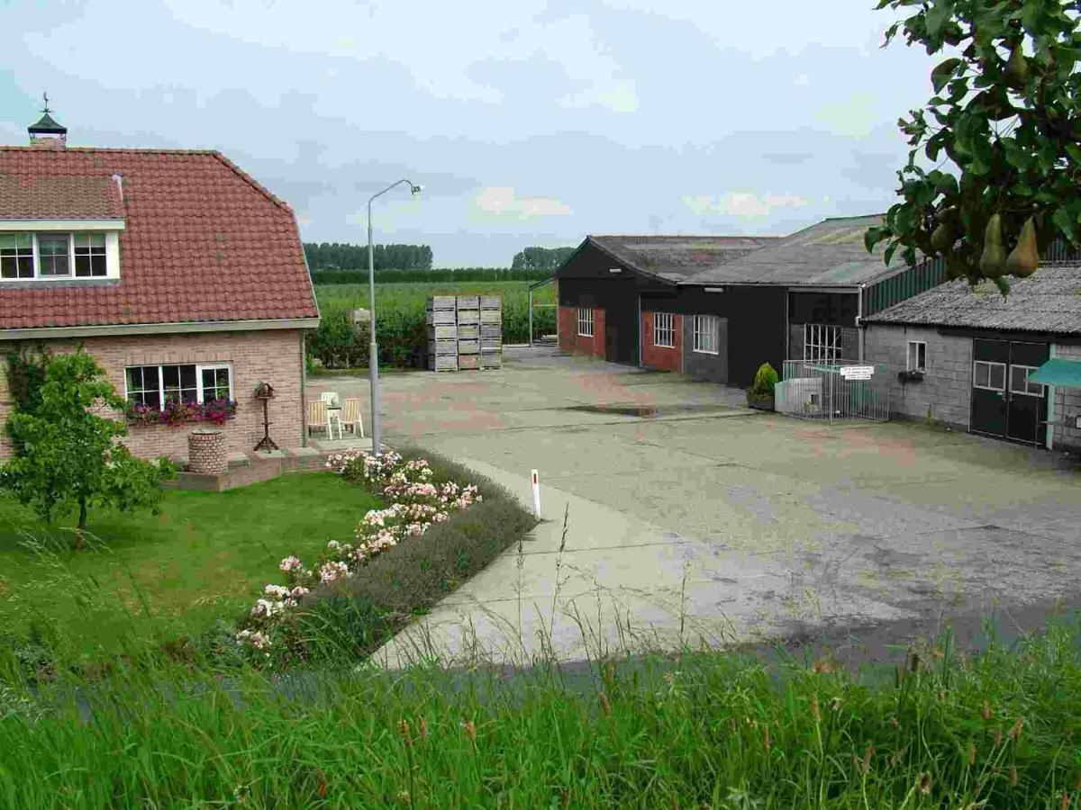 Elstar Chalet *